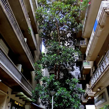 Stay At Premium Syntagma Location-2